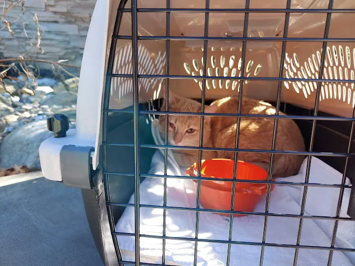 East Brunswick Animal Hospital Picture 9
