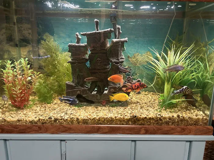 Fish & Friends Picture 1