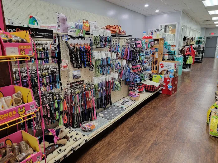 Village Pet Shoppe Picture 1