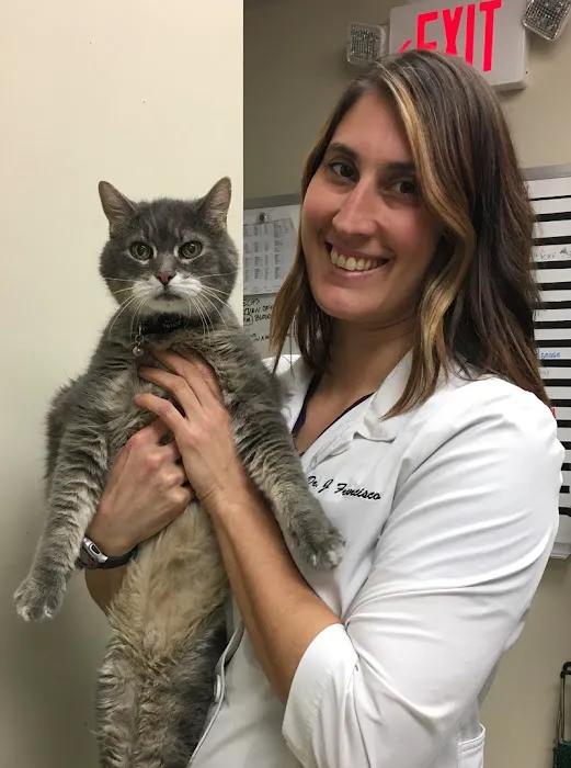 Dr. Jessica Francisco, DVM Picture 3
