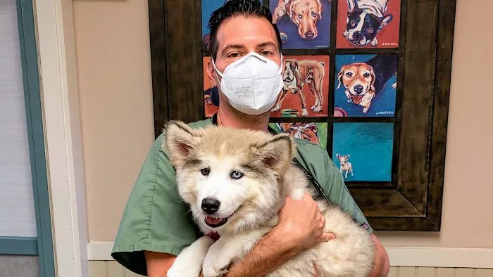 Dr. Justin Cutillo, DVM Picture 2