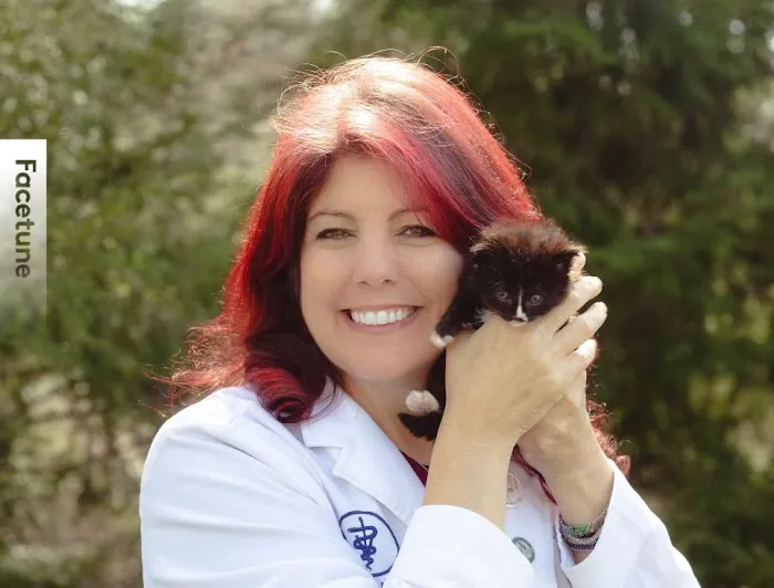 Dr. Jennifer Feeney, DVM, UW-AAB, FFCE, LSHU-S, CFV Picture 1
