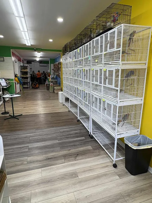 Loros Exoticos Baltimore Picture 2