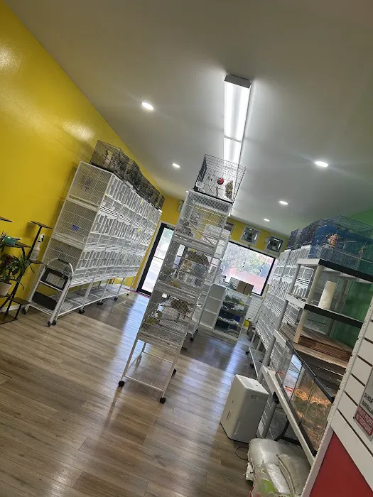 Loros Exoticos Baltimore Picture 9
