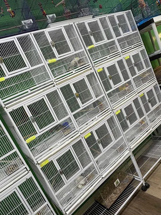 Loros Exoticos Baltimore Picture 6