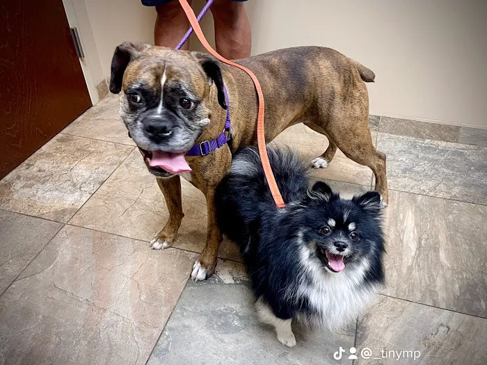 Bridgewater Veterinary Hospital Picture 1