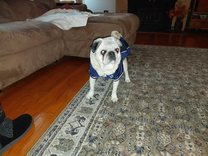 Bridgewater Veterinary Hospital Picture 5