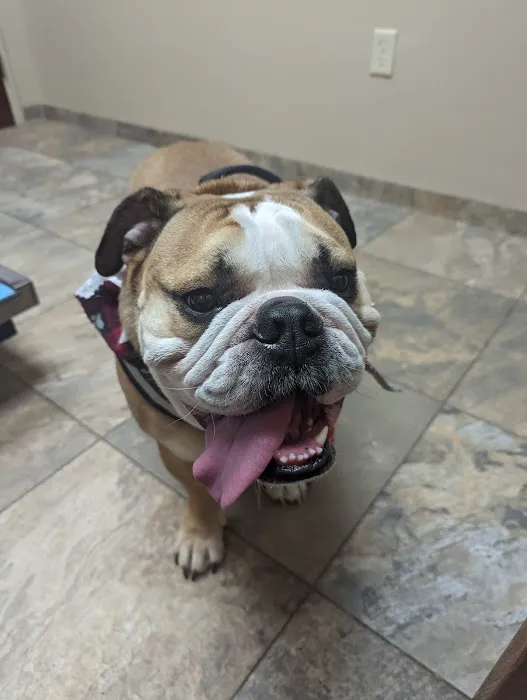 Bridgewater Veterinary Hospital Picture 10