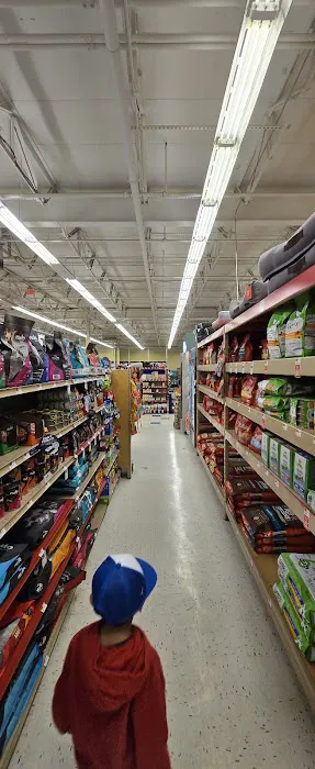 Petco Picture 4