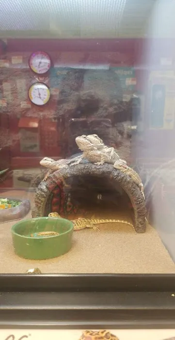 Petco Picture 5