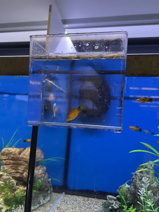 Petco Picture 2