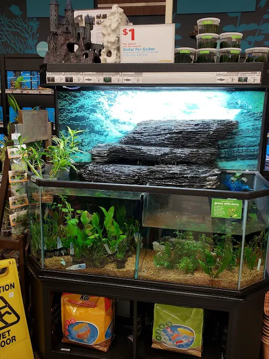 Petco Picture 6