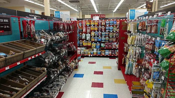 Petco Picture 8