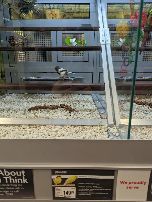 Petco Picture 7