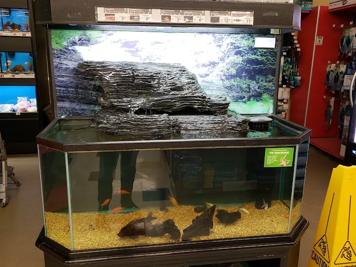 Petco Picture 9