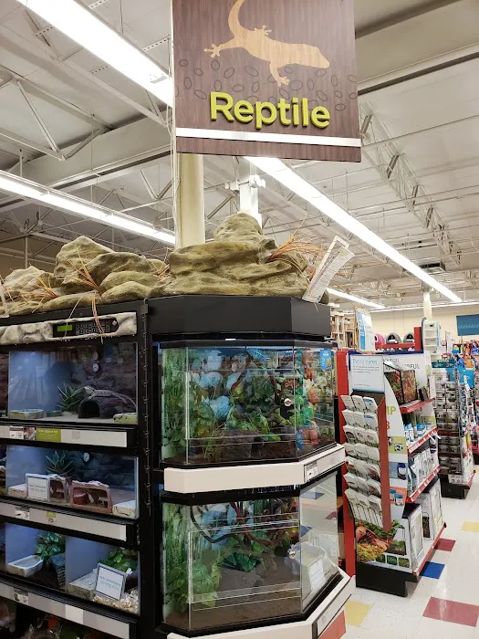 Petco Picture 10