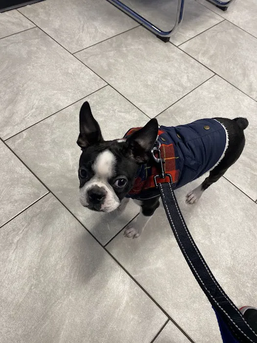 Happy Pets Veterinary Hospital, INC Picture 2
