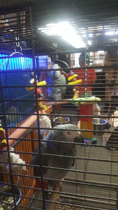woodlawn pets & More Picture 2