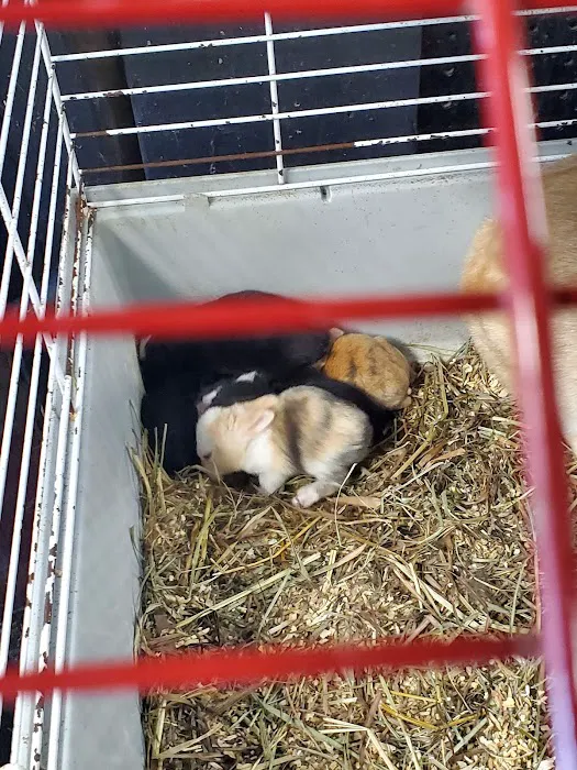 woodlawn pets & More Picture 6