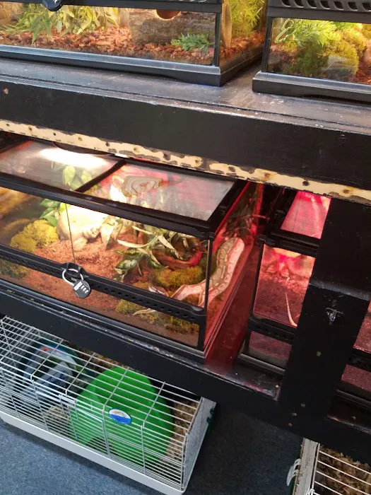 woodlawn pets & More Picture 5