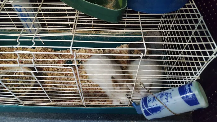 woodlawn pets & More Picture 10