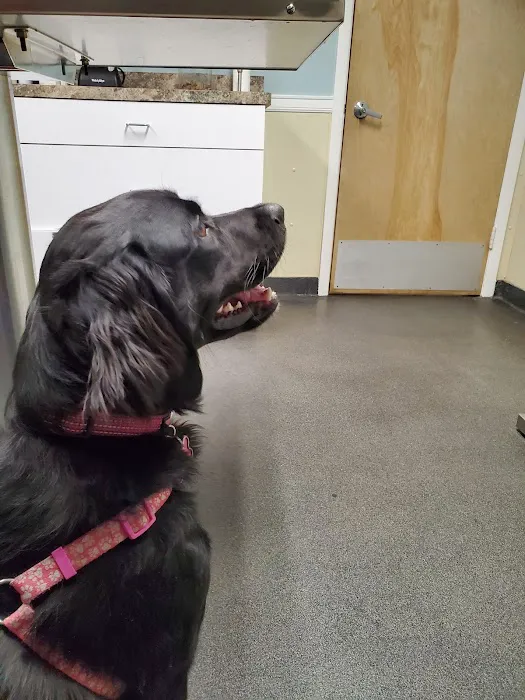 Bound Brook Veterinary Clinic Picture 1