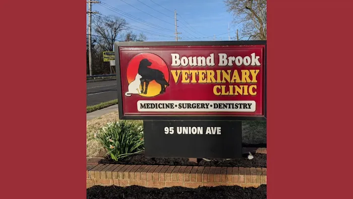 Bound Brook Veterinary Clinic Picture 3