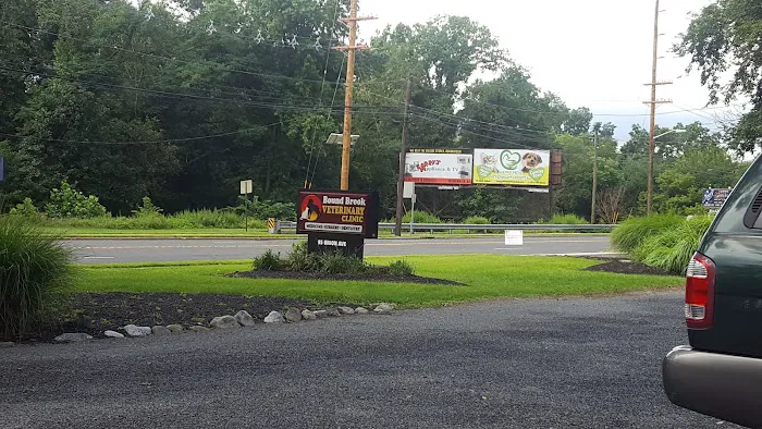 Bound Brook Veterinary Clinic Picture 8