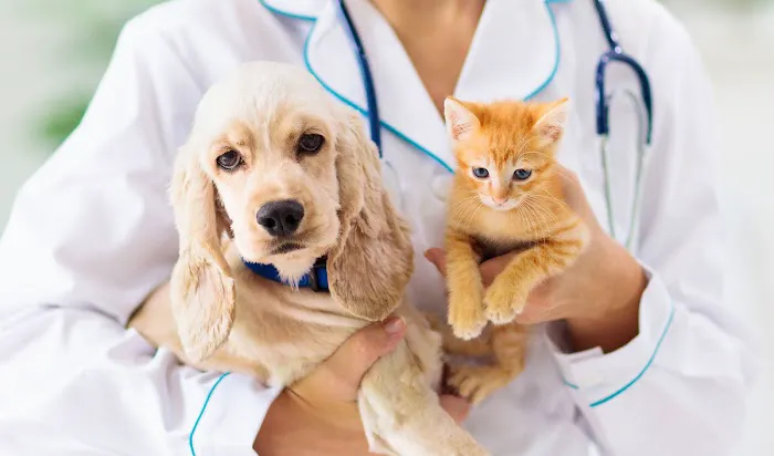 Raritan Valley Veterinary Hospital Picture 6