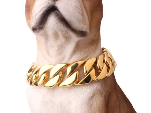All American Pets Picture 9