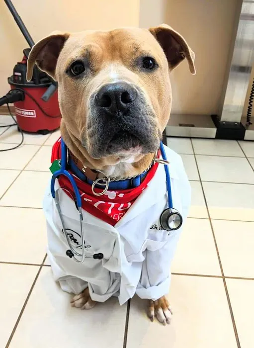 Easton Animal Clinic Picture 4