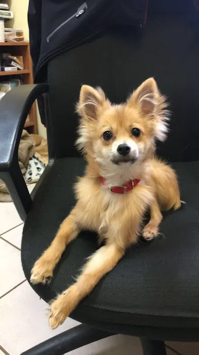 Easton Animal Clinic Picture 10