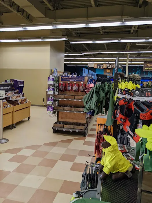 Petco Picture 2