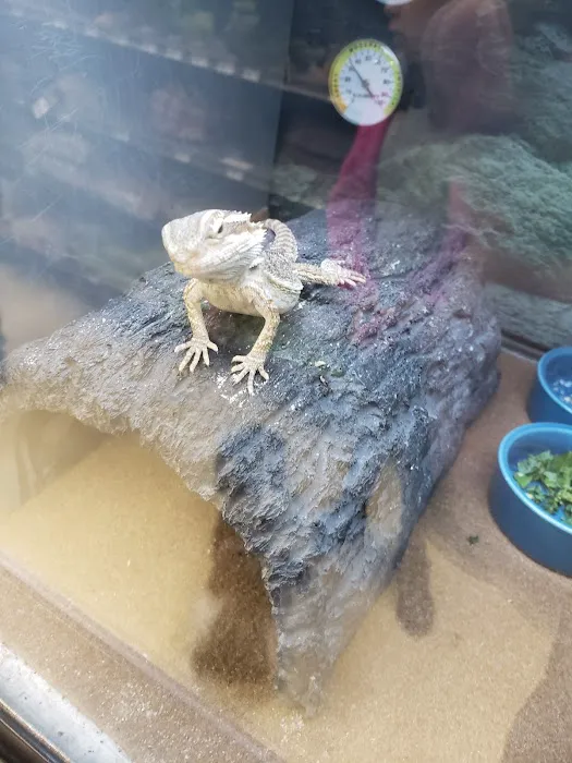 Petco Picture 3