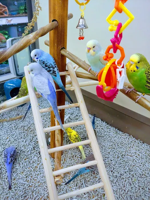 Petco Picture 4
