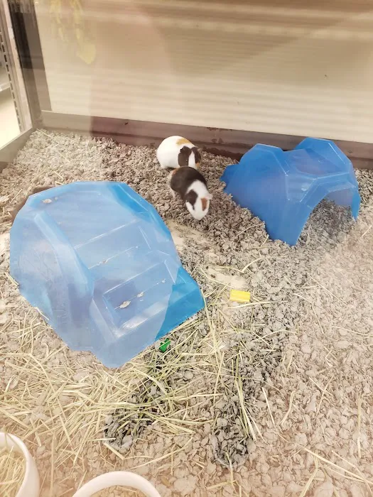 Petco Picture 6