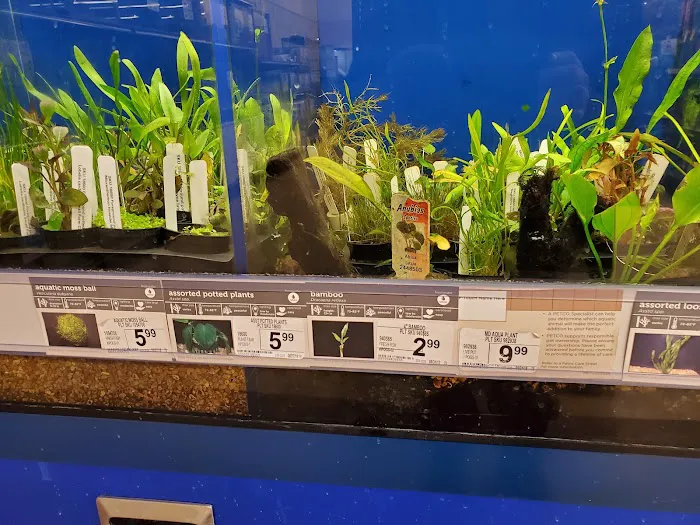 Petco Picture 5