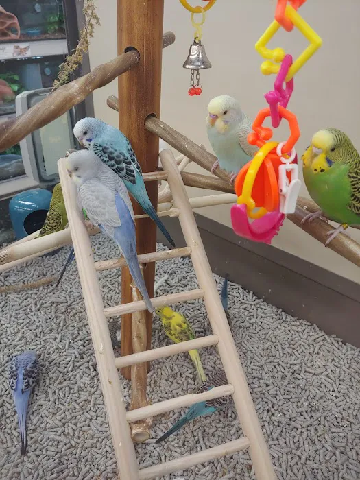 Petco Picture 7