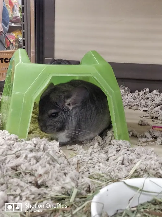 Petco Picture 8