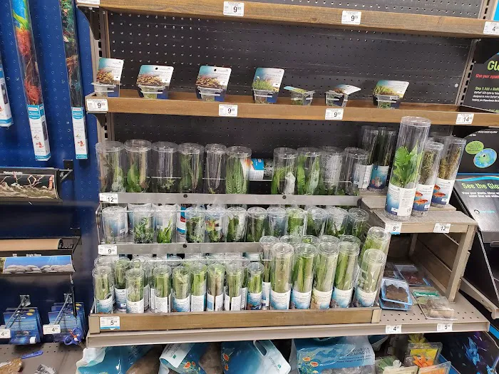 Petco Picture 9