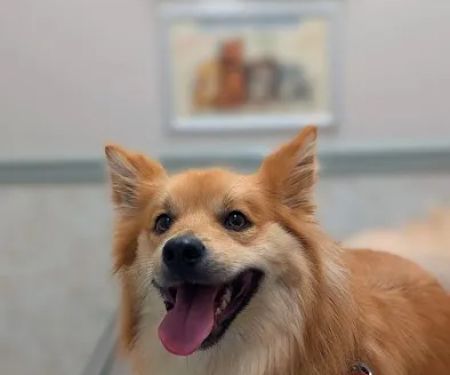 Cedar Lane Animal Clinic