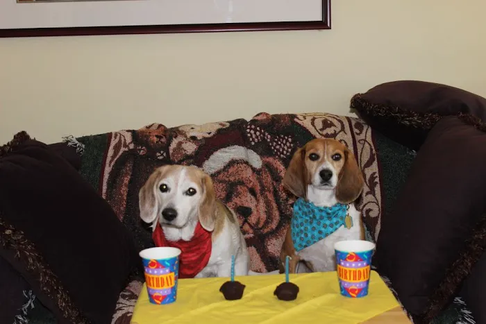 Cedar Lane Animal Clinic Picture 9