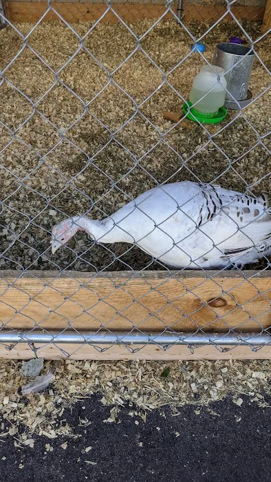 Brooklyn Farm & Pets & Hardware LLC Picture 4