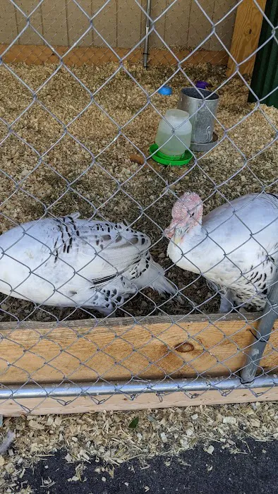 Brooklyn Farm & Pets & Hardware LLC Picture 9