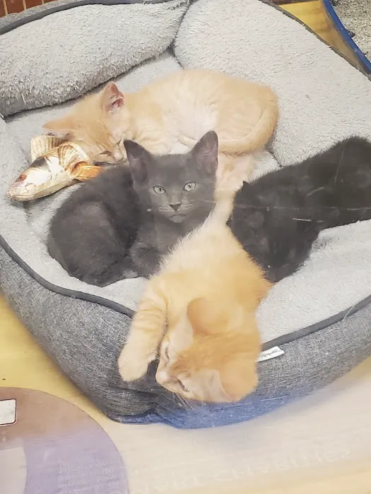 Banfield Pet Hospital Picture 2