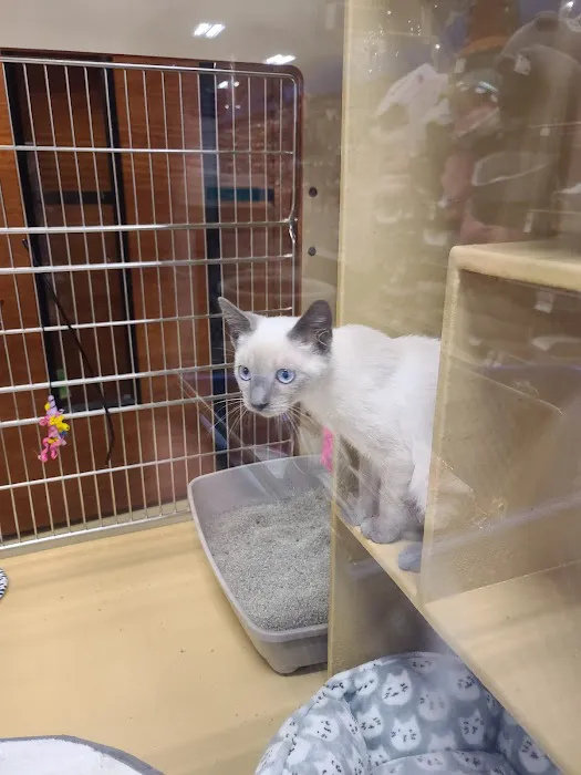 Banfield Pet Hospital Picture 4