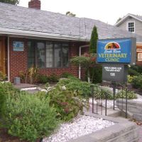 South River Veterinary Clinic ico