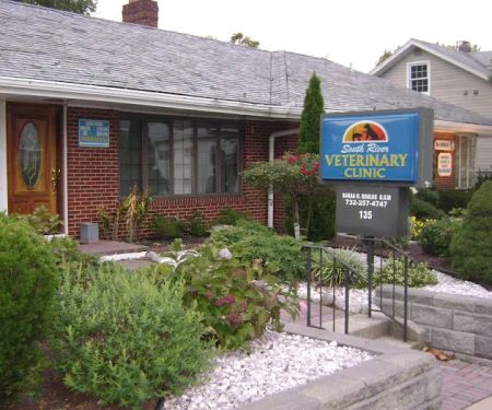 South River Veterinary Clinic