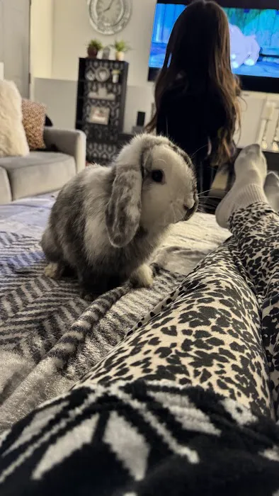 Aura Rose Rabbitry & Rescue Picture 6