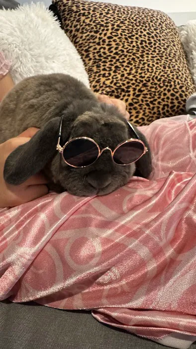 Aura Rose Rabbitry & Rescue Picture 5
